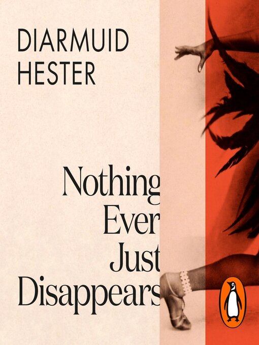 Title details for Nothing Ever Just Disappears by Diarmuid Hester - Wait list